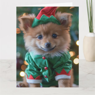 Carte de Noël Spitz Elf Puppy allemande