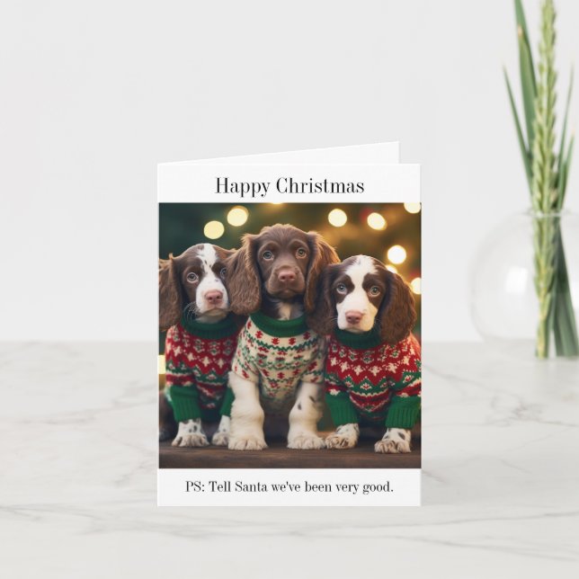Carte de Noël Springer Spaniel (Devant)