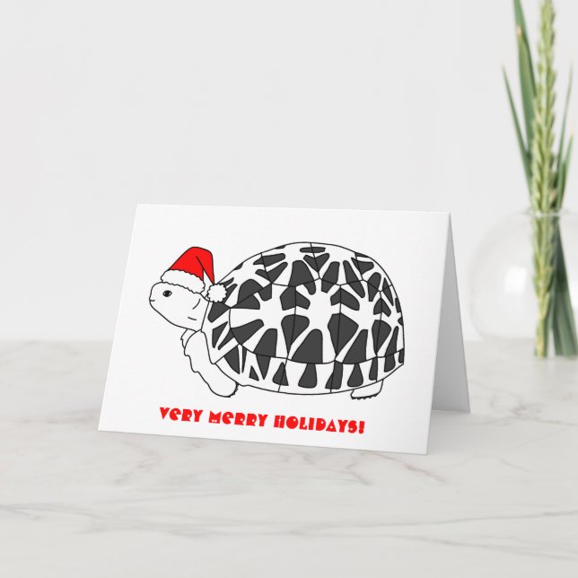 Carte de Noël Star Tortoise (elf casquette) (Devant)
