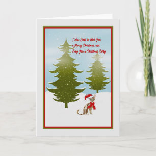 Carte de Noël telle que racontée par un chat