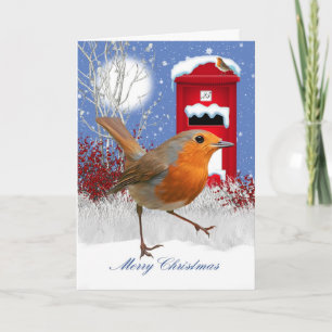 Carte de Noël traditionnelle de Robin et de boîte