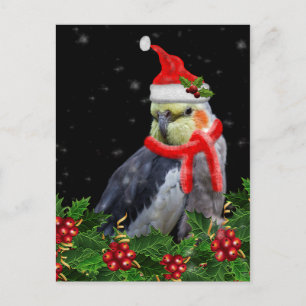 Carte de Noël très Berry