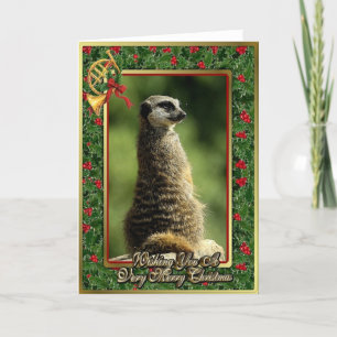 Carte de Noël vierge d'animal africain Meercat