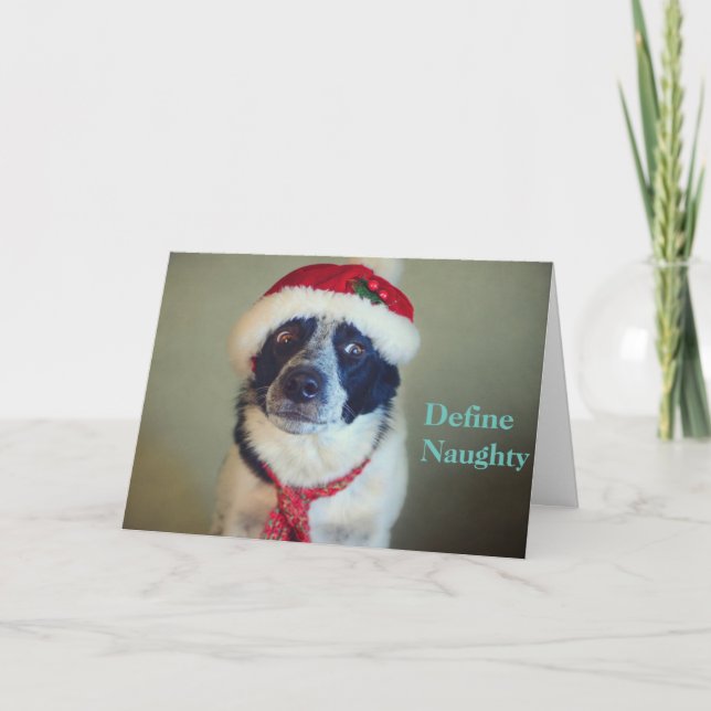 Carte de Noël vilaine de border collie (Devant)