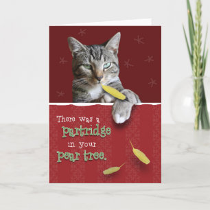 Carte de Noël vilaine humoristique de chat