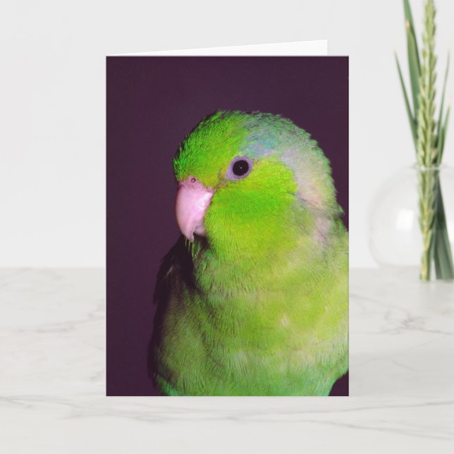 Carte de note (Devant)