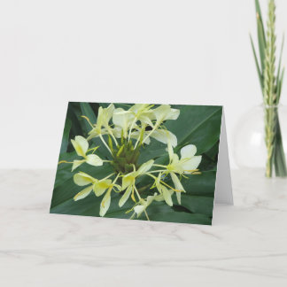 Carte de note à fleurs botaniques tropicales