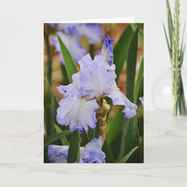 Carte de note à fleurs Perwinkle bleu Iris (Devant)