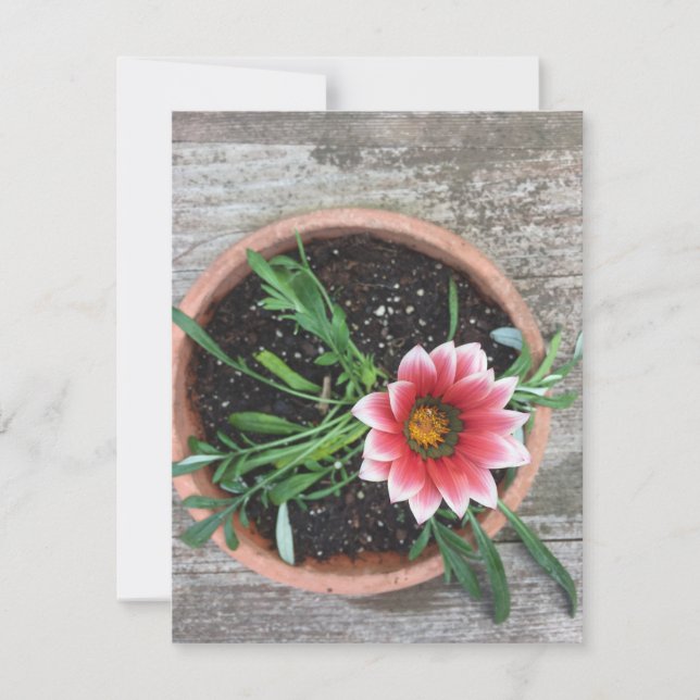 Carte de note à fleurs roses (Devant)