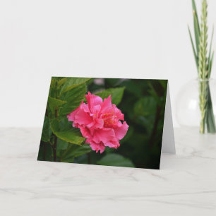 Carte de note à fleurs tropicales Hibiscus rose