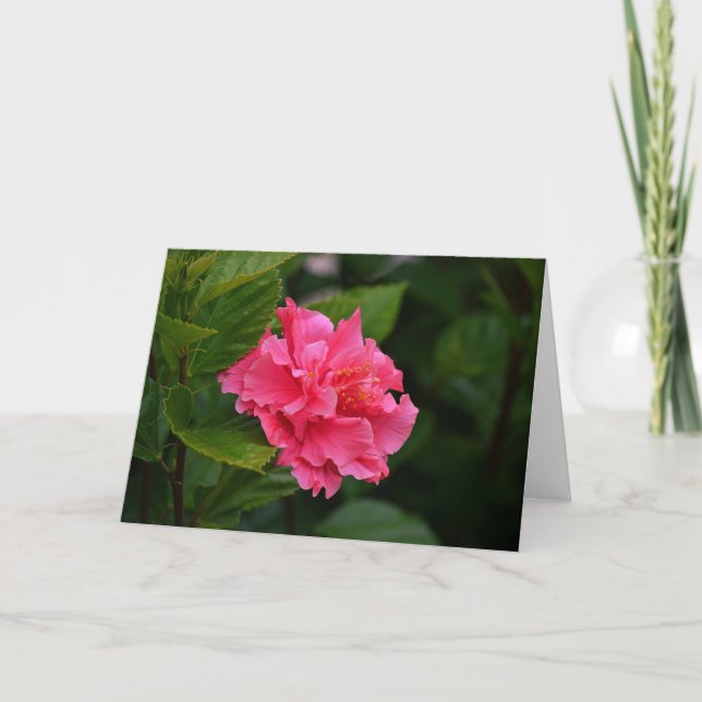 Carte de note à fleurs tropicales Hibiscus rose (Devant)