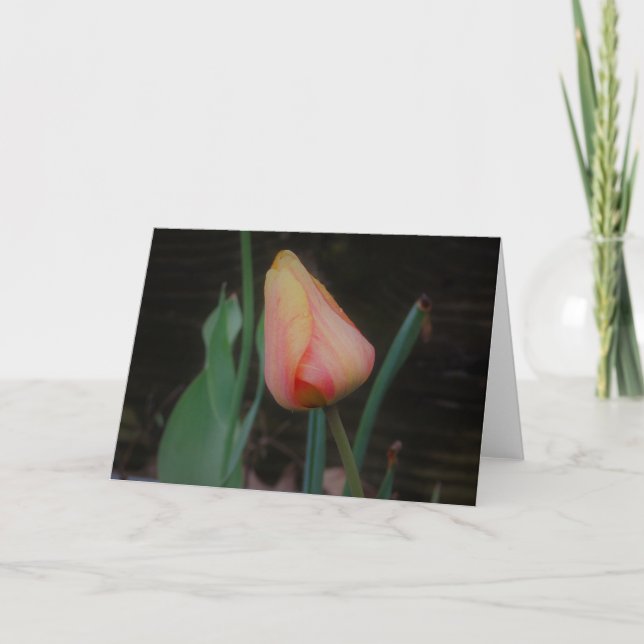 Carte de note à la tulipe unique (Devant)