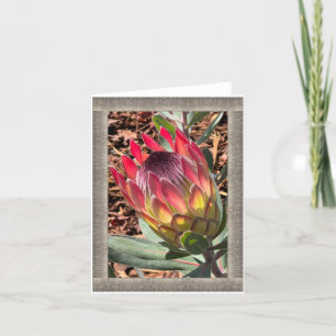 Carte de note à toute occasion avec belle Protea