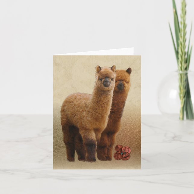 Carte de note Alpacas (Devant)