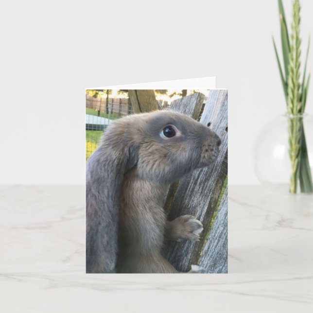 Carte de note anglaise de lapin de Lop (Devant)
