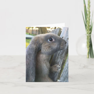 Carte de note anglaise de lapin de Lop