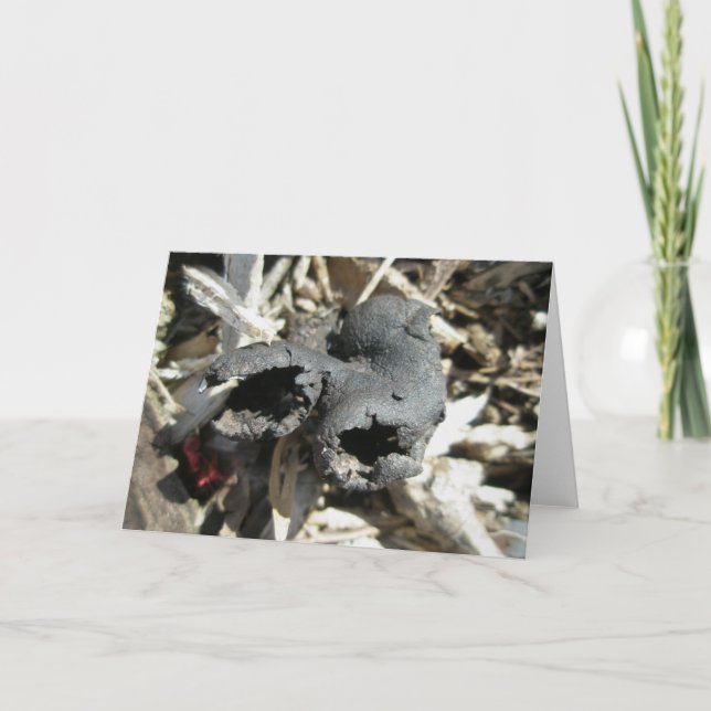 Carte de note aux champignons des doigts de l'homm (Devant)