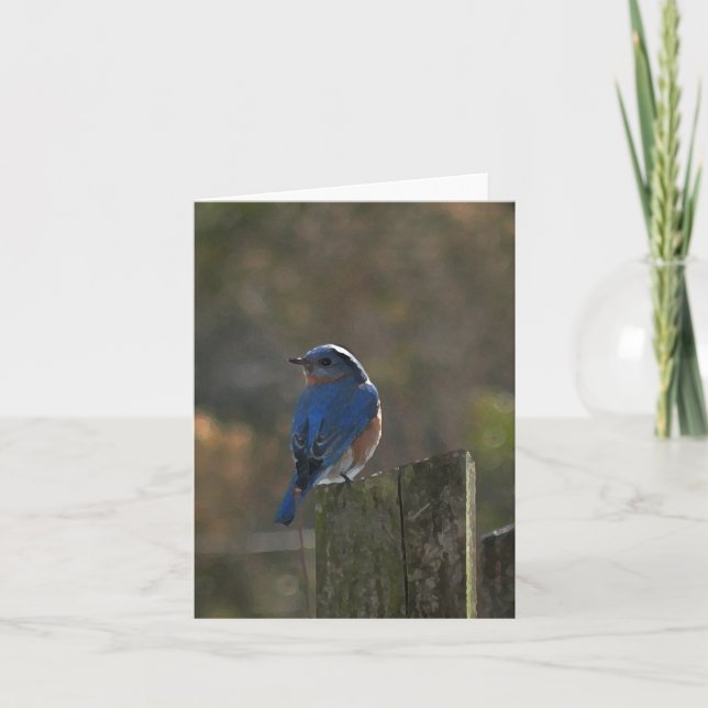 Carte de note aux oiseaux bleus de l'Est (Devant)