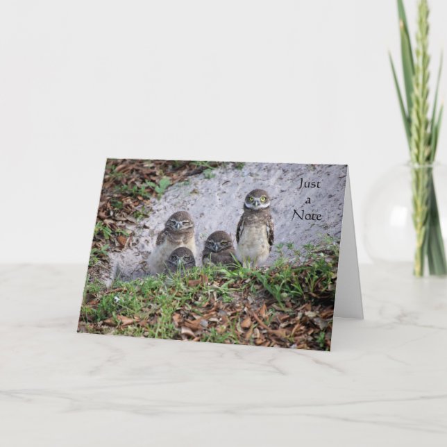 Carte de note avec Chevêche de terrière (Devant)