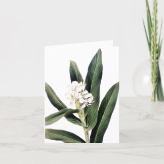 Carte de note avec fleur blanche