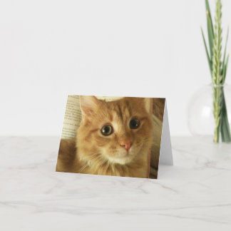 Carte de note avec le chat mignon