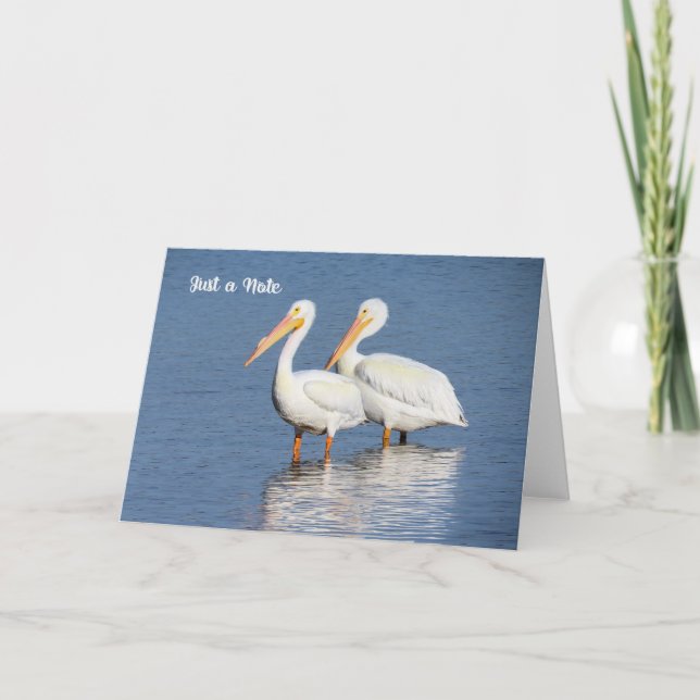 Carte de note avec pélicans blancs (Devant)