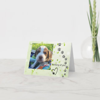 Carte de note beagle (vide à l'intérieur)
