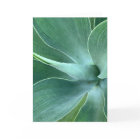 Carte de note blanche Agave