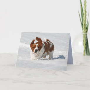 Carte de note blanche avec Basset Hound