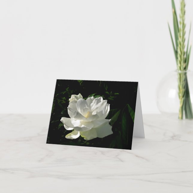 Carte de note blanche de fleur de gardénia (Devant)