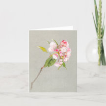 Carte de note blanche en fleurs de laurier de mont