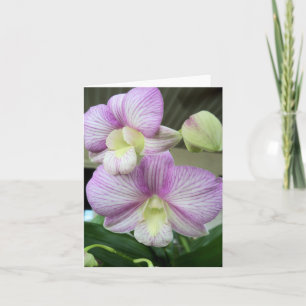 Carte de note blanche et violette pour orchidée