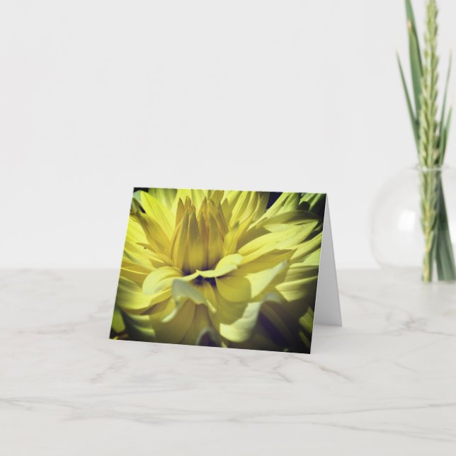 Carte de note blanche Fleur Dahlia Jaune (Devant)