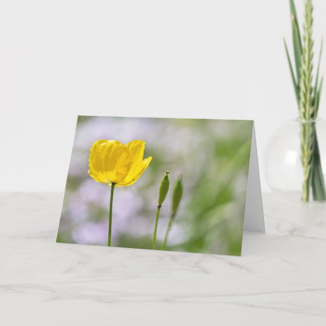 Carte de note blanche - Poppy gallois jaune (Devant)