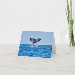 Carte de note blanche pour baleine
