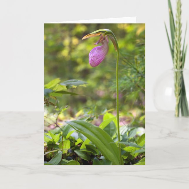 Carte de note blanche pour chausson rose (Devant)