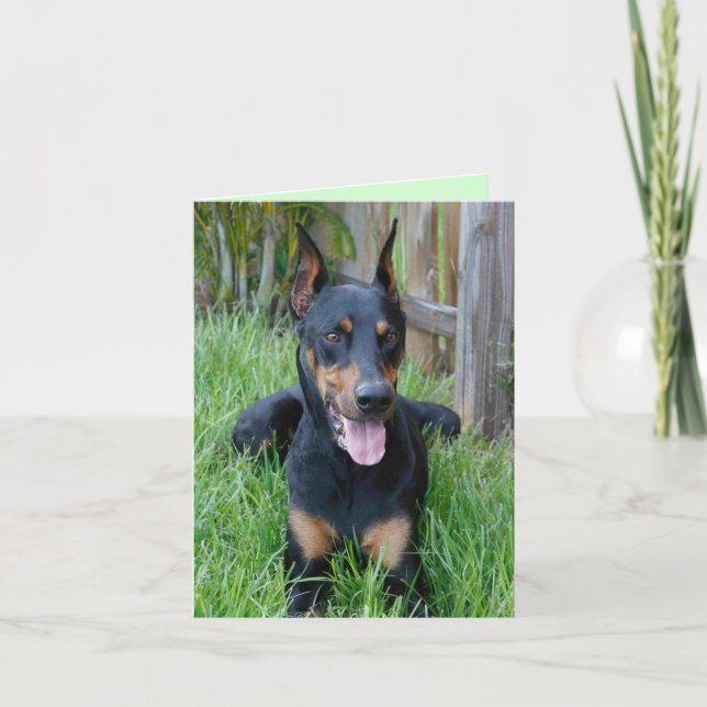 Carte de note blanche pour Chien à chienne Doberma (Devant)