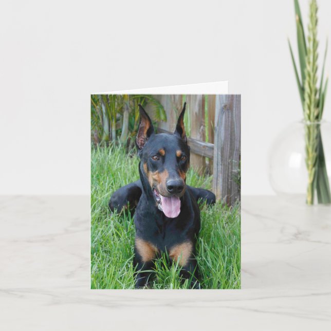 Carte de note blanche pour Chien à chienne Doberma (Devant)