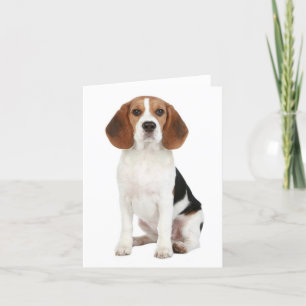 Carte de note blanche pour chien beagle