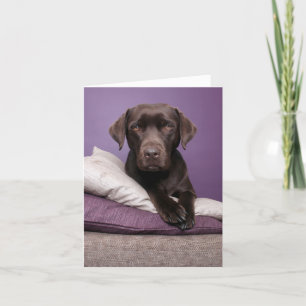 Carte de note blanche pour chien de chiot Brown La
