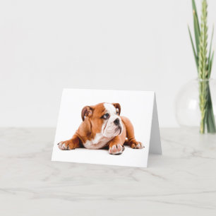 Carte de note blanche pour chiot Bulldog anglais