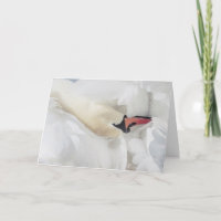 Carte de note blanche pour cygne muet
