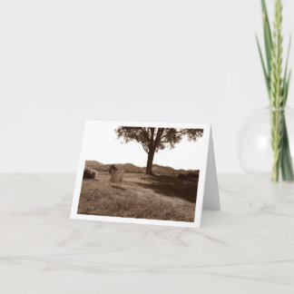 Carte de note blanche pour tambour blanc de planch