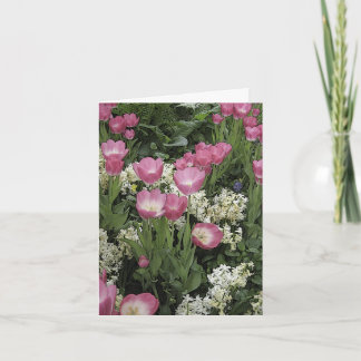 Carte de note blanche pour tulipe rose