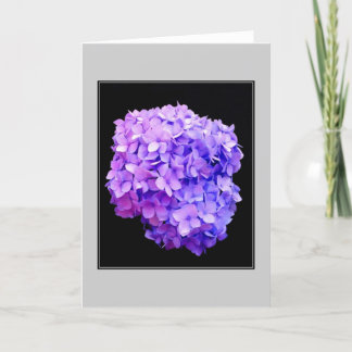 Carte de note blanche 'Purple Hydrangea Bloom'