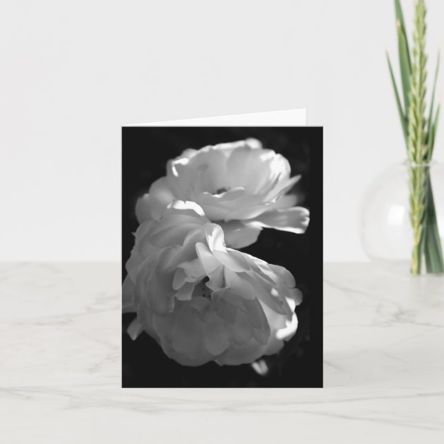 Carte de note blanche Sympathie Roses blanches sau (Devant)
