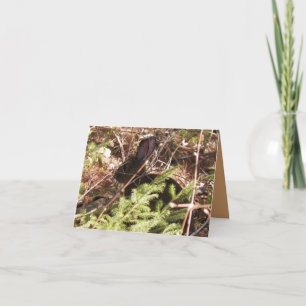 Carte de note blanche Wild Rabbit