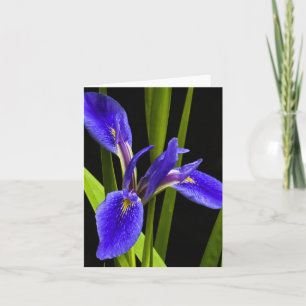 Carte de note bleue de blanc d'iris