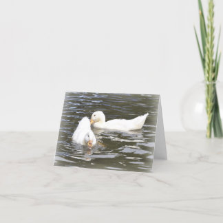 Carte de note : Canetons d'Aylesbury