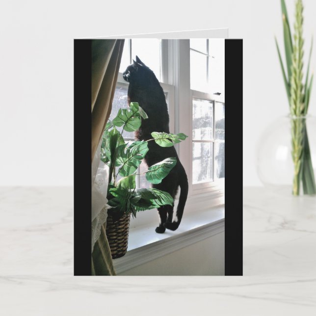 Carte de note Cat at the Window (Devant)